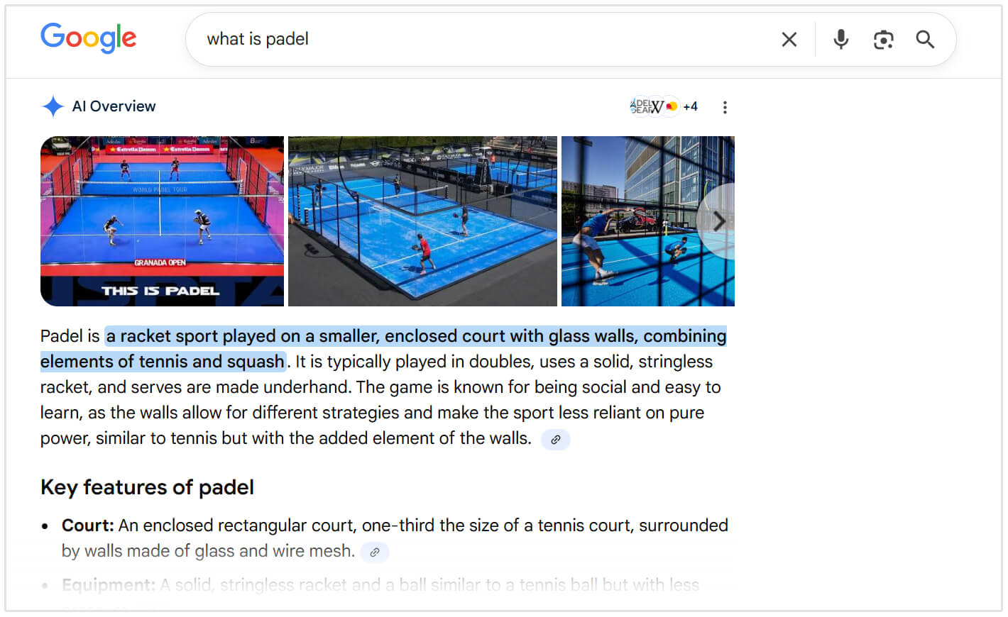 Example of AI Overview